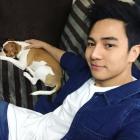 Jak Roberto pet