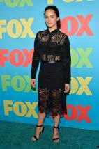 Melissa Fumero elegant dress