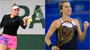 Anastasia Pavlyuchenkova juego