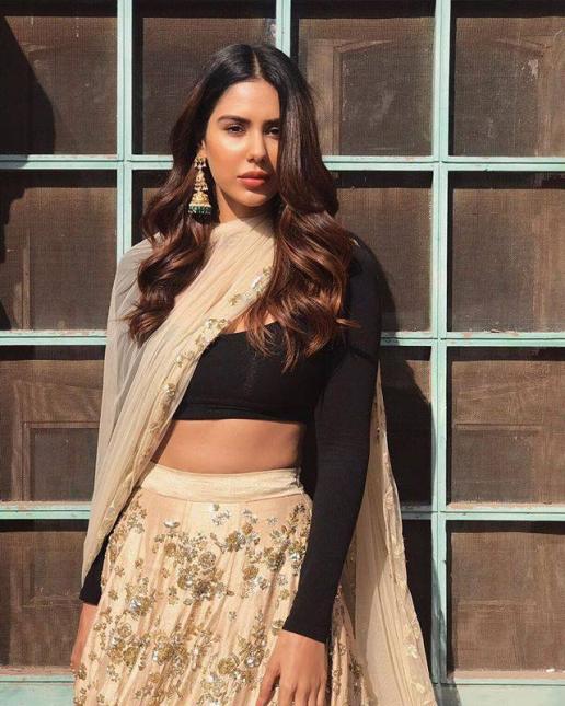 Sonam Bajwa skirt